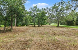 HAZELWOOD ST, Naples, TX 75568
