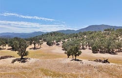 49460 Sapaque Road, Bradley, CA 93426