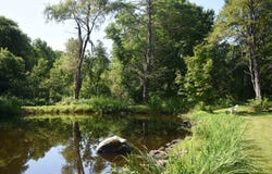 1078 Brook Road, Marshfield, VT 05658
