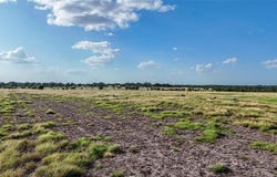 2179 E Highway 237, Round Top, TX 78954