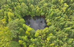 Liberty Hill Rd, Oakman, AL 35579