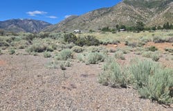 18 Sunrise Trail, Markleeville, CA 96120