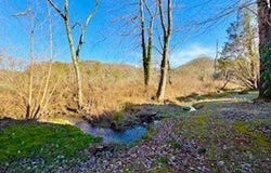 462 River Vista Drive, Dillard, GA 30537