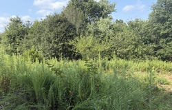 Lynx Avenue, Atlanta, MO 63530