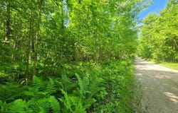 20 AC CAMP 23 RD., GULLIVER, MI 49840