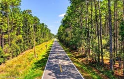 Parcel 2 Freddie Frank Road, Pass Christian, MS 39571