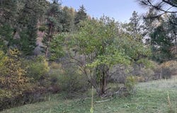 1 Armin Rd, Joseph, OR 97846