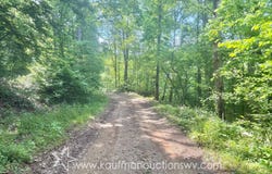 Big Pigeon Rd, Procious, WV 25164