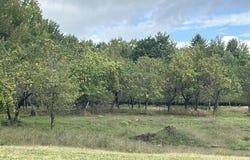 Clark Hill Road, Saranac, NY 12981