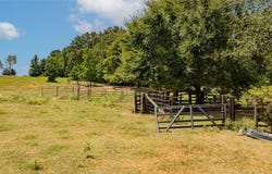 FM 726, Diana, TX 75640