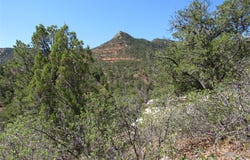 Frontage Rd 2116, Rowe, NM 87562