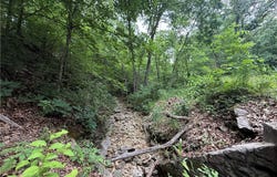 Highway DD, Seligman, MO 65745
