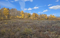 204 GCR 286, Kremmling, CO 80459
