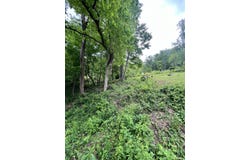 Hill, Gauley Bridge, WV 25085
