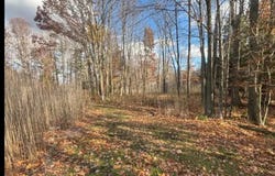 SPRING LAKE Drive, SOBIESKI, WI 54171