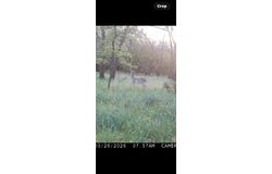 t.b.d. C.r. 386, Marquez, TX 77865