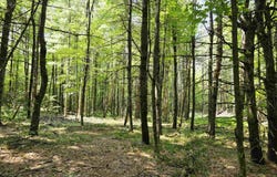 2085 State Highway 72, Potsdam, NY 13676