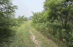 20 Acres E M-30 Highway, Alger, MI 48610