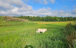 3652 Devinney Road, Gainesville, NY 14066