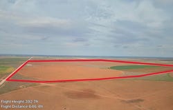 County Rd 335, Plains, TX 79355