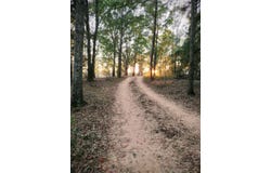 2667 Old Stage Rd, Greenville, AL 36037