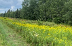 On County Highway E, Park Falls, WI 54552