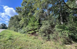 16370 FM 92 S, Spurger, TX 77660
