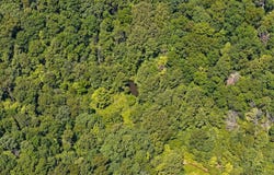 TBD Laurel Run Rd, Rosedale, WV 26636
