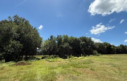 CR 1670, Mt Pleasant, TX 75455