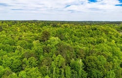 White Oak Road, Big Sandy, TX 75755
