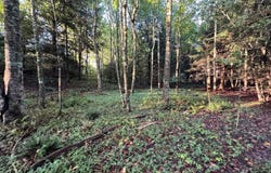 Davis Rd lot: 4-7, Deer Lodge, TN 37726