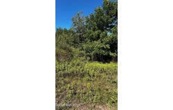 029 route 187, Wyalusing, PA 18853