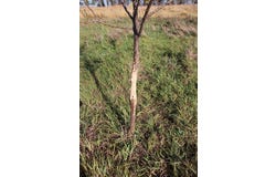 880 Rd, Ponca, NE 68770