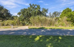 11525 MURCOTT Way, LAND O LAKES, FL 34638