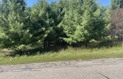 194 LEXINGTON, Gladwin, MI 48624