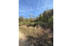 1083 Left Fork Toler Creek, Harold, KY 41635