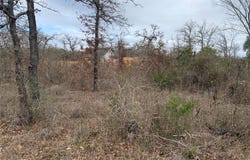 Chickasaw, Smithville, TX 78957