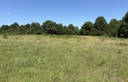 9999 Herron Rd, Ash Flat, AR 72513