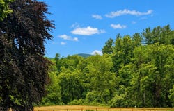 3100 THURSTON Road, FREDERICK, MD 21704
