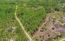 SE 51 Way, TRENTON, FL 32693