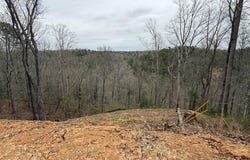 135 Flat Ridge Road, Ellijay, GA 30540