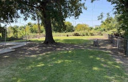 1302 Nebraska, Pine Bluff, AR 71601
