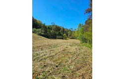 411 Masters Run, Leroy, WV 25252