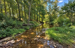 TRACT 78 - "WATERFALL" LOT @ STALLARD SP, Shelbyville, KY 40065