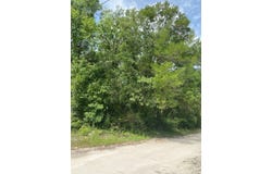 NE 830th St, Old Town, FL 32680