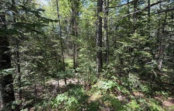 Polly Clark Brook lot: R05129, Wiscasset, ME 04578