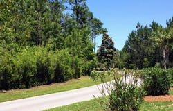 Harbour Trace lot: 71, Freeport, FL 32439