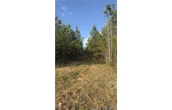 Loman Road, Meherrin, VA 23954