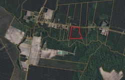 Wall'S Mill Road, Aurora, NC 27806