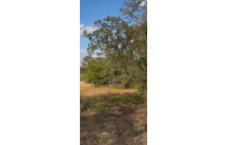 Carter Rd, Dale, TX 78616
